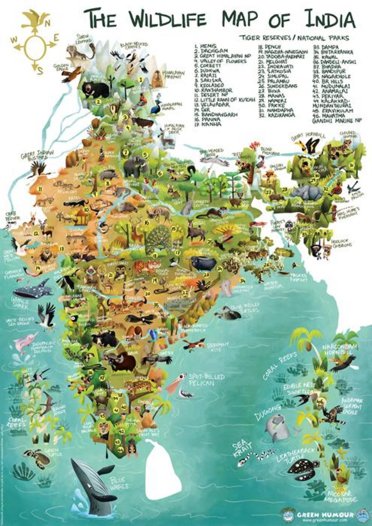 印度野生动物的地图