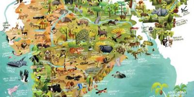 印度野生动物的地图